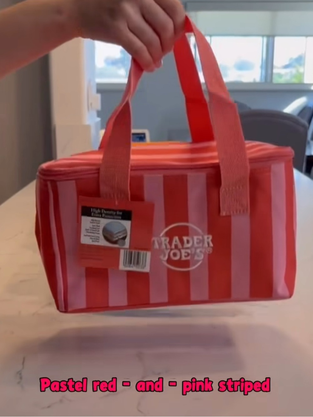 Trader Joe's Pink & Coral Striped Insulated Tote NWT